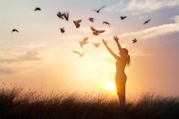 Pathways to CommUnity